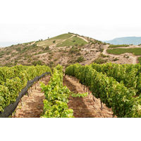 チリ ルイスフェリペエドワーズ ピノノワール 赤ワイン ミディアムボディ 750ml 1本　三菱食品