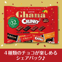 ガーナ＆クランキーシェアパック 4種アソート 約32枚入 1セット（1個×2） ロッテ チョコレート 個包装 お配り