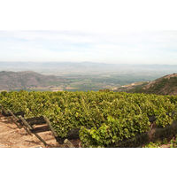 チリ ルイスフェリペエドワーズ シャルドネ 白ワイン 辛口 750ml 1本　三菱食品