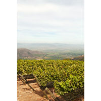 チリ ルイスフェリペエドワーズ カベルネソーヴィニョン 赤ワイン ミディアムボディ 750ml 1本　三菱食品