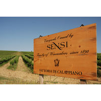 イタリア センシィ ヴィルト ロッソ 赤ワイン ミディアムボディ 750ml 1本　三菱食品