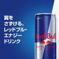 レッドブル・ジャパン レッドブル エナジードリンク 250ml 1缶（わけあり品）