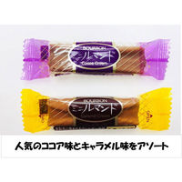 ブルボン ミニルマンドキャラメルクリーム＆ココアクリーム 1袋（約100本入）（わけあり品）