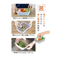 シービージャパン 抗菌 レンジでカンタン蒸し調理器 スクエア 4573306868682 1個