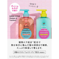 ネイチャーラボ ハローダイアン グッバイ ダメージリペア トライアル シャンプー&トリートメント 4580632118954 1個