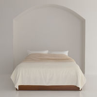 nishikawa　西川　バイカラー毛布　hauu　もちもちブランケット　ニューマイヤー　洗える　寝具　インテリア　NEWブランド　ベージュ