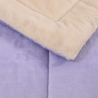 nishikawa　西川　バイカラー毛布　hauu　もちもちブランケット　2枚合わせ　わた入り　洗える　寝具　インテリア　NEWブランド　ラベンダー