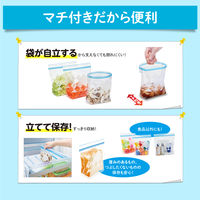 キチントさん 食品保存袋 マチ付き フリーザーバッグ L 電子レンジ解凍可 メモ欄付き 1セット（1箱（10枚入）×5）クレハ