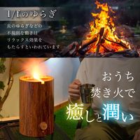 サンコー 「スウェーデントーチ加湿器」 TRCHHMSBW 1台
