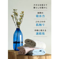 シービージャパン カラリアース ヘアドライタオル ベージュ 吸水力4倍 マイクロファイバー 吸水 速乾 マシュマロ肌触り 1枚