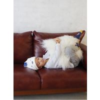 シービージャパン 吸水アニマルキッズキャップ イヌ 吸水力3倍 マイクロファイバー 素早く速乾 マシュマロ肌触り 1個