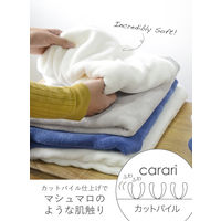 シービージャパン カラリプラス バスタオル ホワイト 4571347176117 1枚