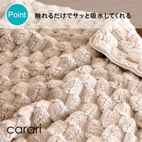 シービージャパン カラリポコ バスマット M グレー 4573306872689 1枚