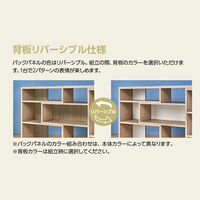 大洋 Shelfit イーシーラック 幅1180～1550×奥行295×高さ800mm ホワイト ECR8012R WW 1台（直送品）