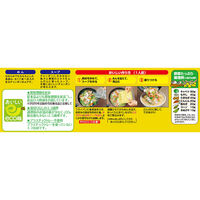 日清食品 [冷蔵] 日清食品チルド フライパンひとつで 日清のチャンポン 2人前×8個 4548780532039 1セット(8個)（直送品）