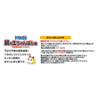 日清食品 [冷蔵] 日清食品チルド ドラえもん 鍋用生ちゃんぽん麺 2人前×10個 4548780547996 1セット(10個)（直送品）