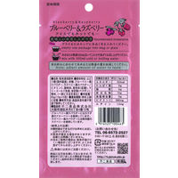 不二食品 ブルーベリー＆ラズベリー 1セット（5包入×3袋）