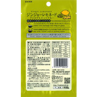 不二食品 ジンジャーレモネード 1セット（5包入×3袋）