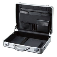 サンワサプライ  PCアルミケース BAG-AL4N2（直送品）