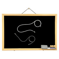 GOPPA USB-C(R)コネクタ搭載 まとまるマグネットケーブル ブラック GP-CCU2M1M/B 1台（直送品）