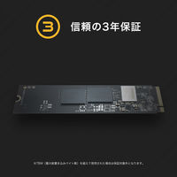 プリンストン NVMe対応内蔵SSD 2TB PHD-ISM2G4-2T 1台（直送品）