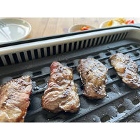 アズマ 吸煙グリル EHP-CSL1 1台（直送品）