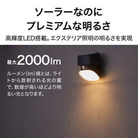 タカショー ソーラーセキュリティーライト MARS LGS-EL07 1個（直送品）