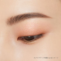 ettusais（エテュセ） アイエディション（カラーパレット）20 ぬくもりコーラル