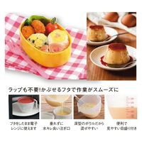 ヒロショウ まいにち使いたいフタ付きボウル 大 レッド CH-2121 1個（直送品）