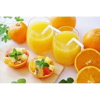 ヒロショウ ステンレス製ハンドジューサー HJ-01 1式（直送品）