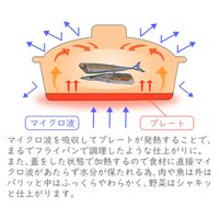 ヒロショウ レンジグリルパン RGPS-01 1個（直送品）