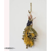 ポッシュリビング アイアンフック シルバー W1×D4.5×H9.5cm 63707 1セット(3個)（直送品）