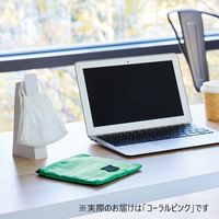 【アウトレット】リヒトラブ マスク&ポーチ コーラルピンク A-7930-12 1個