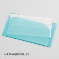 【アウトレット】リヒトラブ マスクケース(L) モモ A-120-12 1セット(5枚)