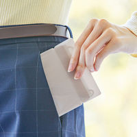 【アウトレット】リヒトラブ マスクケース Ｓ ベージュ A-100-16 1セット（2枚入×5）