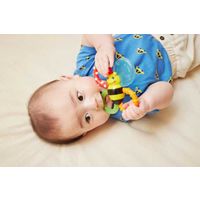 Sassy サッシー カミカミみつばち 1個