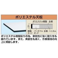 軽量高さ調整作業台(TKK8タイプ/均等耐荷重200kg/ポリエステル天板/H800~1000mm/固定式) TKK8ー097LW 1台（直送品）