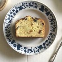 カクセー 森の仲間たち 55皿ペア MO-006 1セット（直送品）