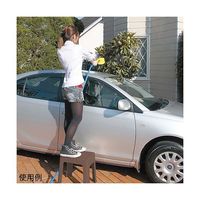 小原産業 プラステップ一体型踏台 22cm ブラウン ST-345 1個 64-5075-68（直送品）