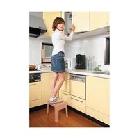 小原産業 プラステップ 一体型踏み台 ベージュ 380mm×285mm×290mm ST-329 1個 63-7934-62（直送品）