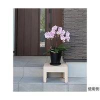 小原産業 プラスチック万能台 正方形 アイボリー ST-422 1個 64-5075-77（直送品）