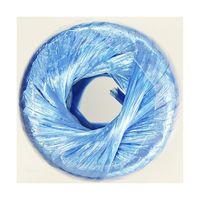 宮島化学工業 PPテープ 青 50mm×200m TT002 1巻 63-7917-88（直送品）