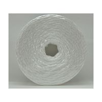 宮島化学工業 PPロープ平巻 白 5mm×100m HC510 1巻 63-7918-05（直送品）