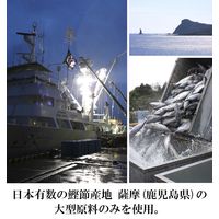 ヤマキ　極味伝承鰹本枯節2g×10p