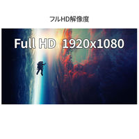 JAPANNEXT 21.5インチ液晶モニター 上下昇降機能/画面回転機能 JN-I215F-HSP 1台