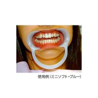 アズワン オーラルワイダー ハード 2個入 64-0785-31 1箱(2個)（直送品）