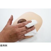 レジーナ 産褥乳房モデル装着型 1組2個入 BMS-12 1組(2個) 65-3976-88（直送品）