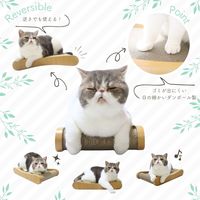 HappyDays ゴミが出にくいつめとぎベッド M 1個 ペットプロ