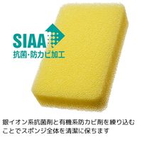 （季節・数量限定）亀の子スポンジ スタンダード 角型 キッチンスポンジ 抗菌・防カビ加工 ツキ 1個 亀の子束子西尾商店