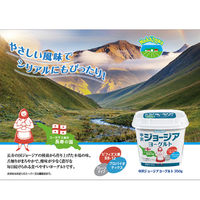 中沢乳業 [冷蔵] 中沢 ジョージアヨーグルト 350g×2個 4902108403508 1セット(2個)（直送品）